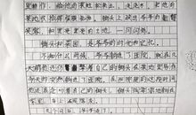 这次我真的错了作文