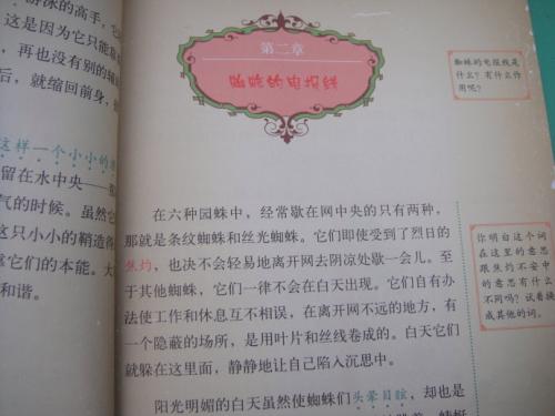 阅读后的昆虫笔记黄蜂