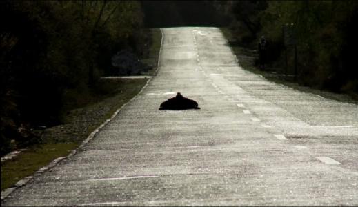 关于各自朝圣之路的思考