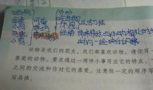 写狗的作文300个字