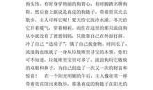 小狗的作文300字