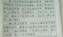 安全教育观后感500字