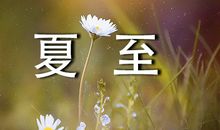 夏至未至读后感