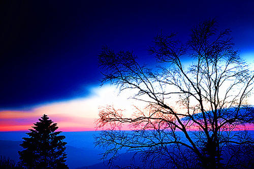 改变了我的生活