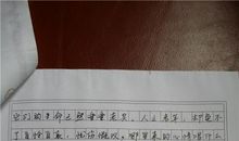 2013年高考满分作文江苏卷：智慧之光