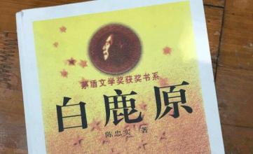 关于白鹿原小说的思考