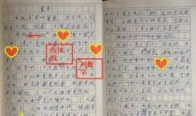 小学三年级寒假作文