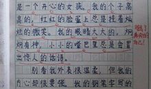 作文这就是我300字