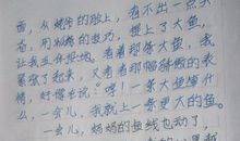 乡村趣事作文400字