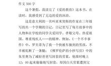 爱的力量读后感