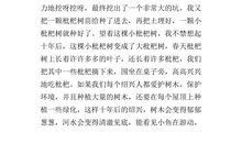 写家乡环境的作文