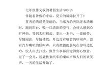 乡村生活作文800字