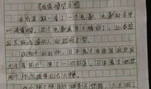 关于元旦的作文300字