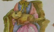 蔷薇别墅的老鼠读后感