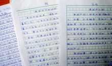 我的家乡作文550字