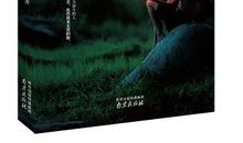 《不畏将来，不念过去》经典语录