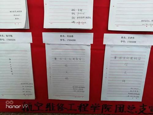 诚信文化进入校园征文