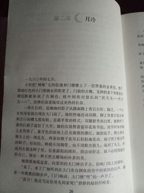 阅读《穆斯林葬礼》后的感想