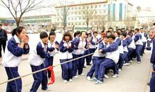 记一次拔河比赛作文