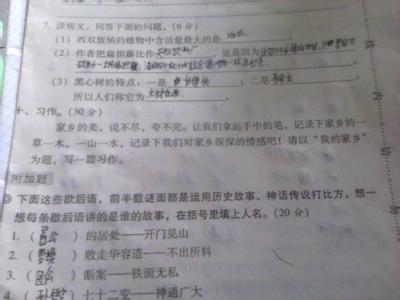 写环境污染成分