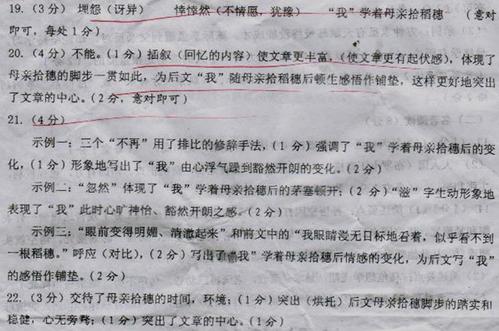 关于温暖的构图