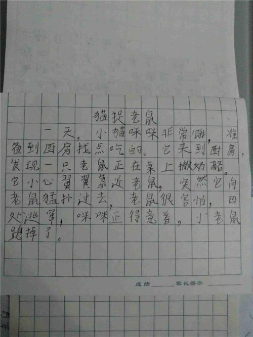 猫和老鼠的组成