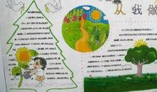 保护环境作文1000字