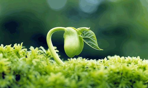 欣赏是看完书后的一种感觉