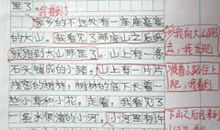 我的男班主任作文