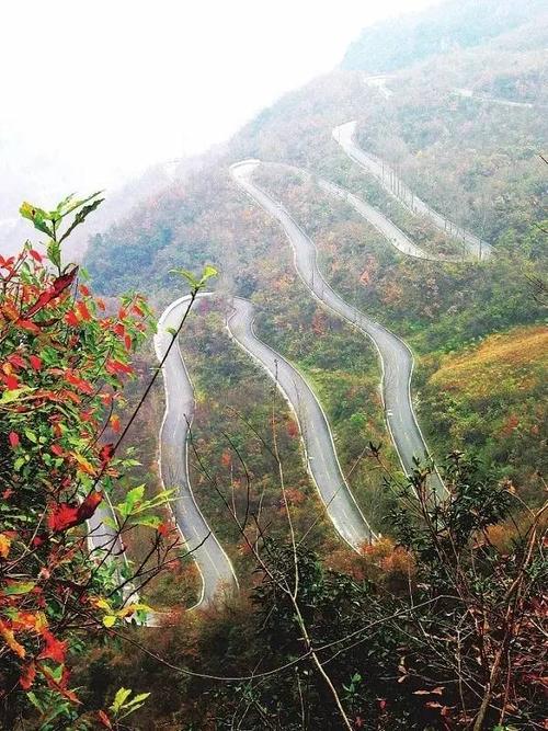 2018湖北十堰高中入学考试全场作文：香（4）