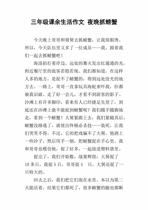 乡村之夜五年级作文