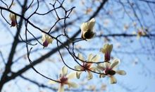 慢下来的时光满分作文