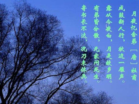 看完世界的真爱