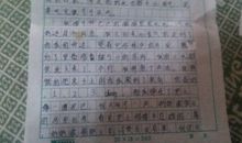 春节趣事作文600字