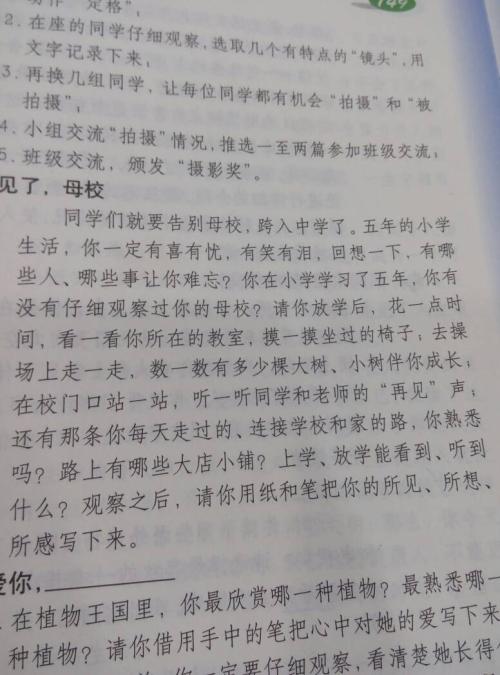 校园一角组成200字