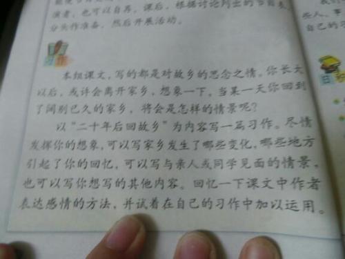 二十年后的家乡组成450个单词