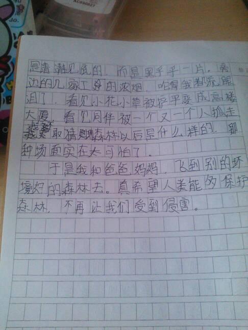 20年后，共同组成450个单词