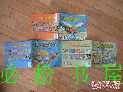 阅读后的精彩蜂巢