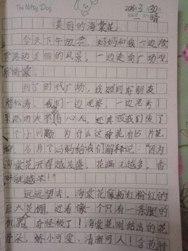 这是我的高中作文