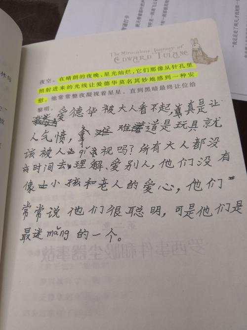 看完爱德华的精彩旅程