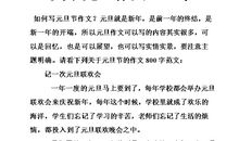 关于元旦的作文800字