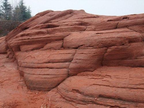 红岩公园作文600字