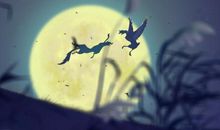 电影鸡妈鸭子读后感