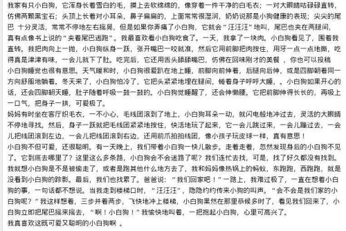 关于养狗的组成