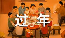 过年的作文