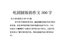 年夜饭作文300字