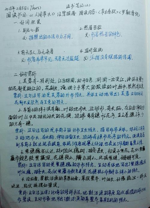 阅读后500字
