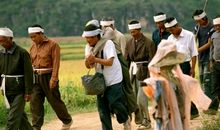 落叶归根观后感