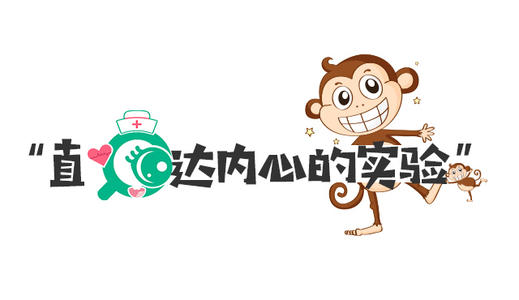 布雷迪的猴子读书