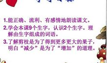 剪枝的学问读后感